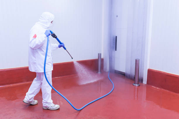 Best Factory Floor Cleaning  in Fairmont, MN